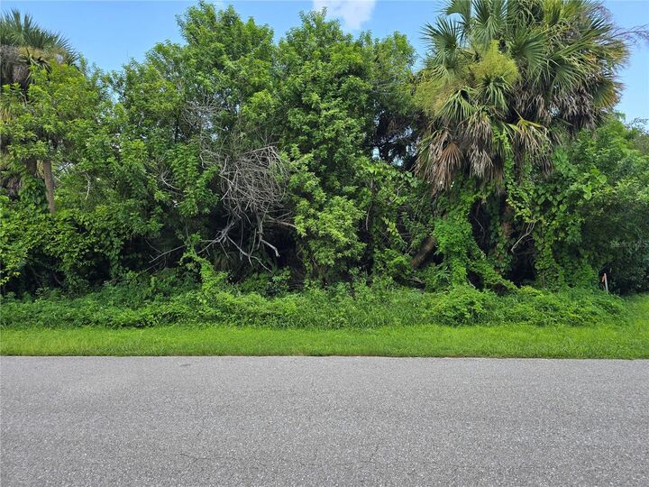 Property Photo:  4048 Gallo Street  FL 33948 