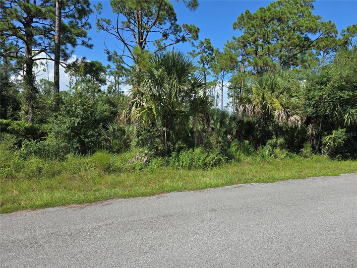 Property Photo:  14506 Carousel Lane  FL 33953 