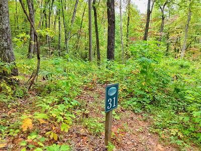 Property Photo: Lot 31 Skyview Trail NC 28904