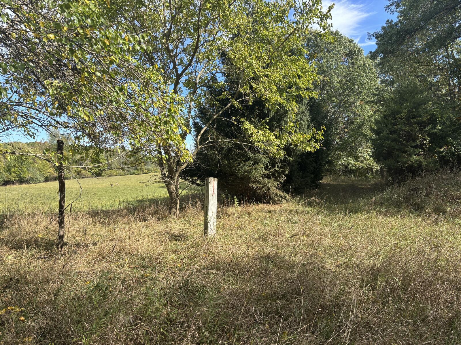 Property Photo: 10420 E Mosherville Road MI 49249