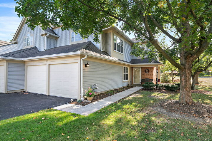 133 White Branch S Court 133  Schaumburg IL 60194 photo