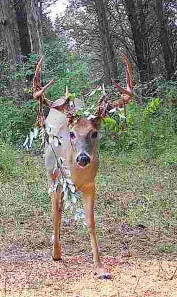 Property Photo:  489 Kelly Road  KY 41033 