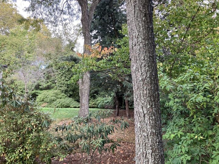 Property Photo:  0 Glenoe Rd  MA 02467 