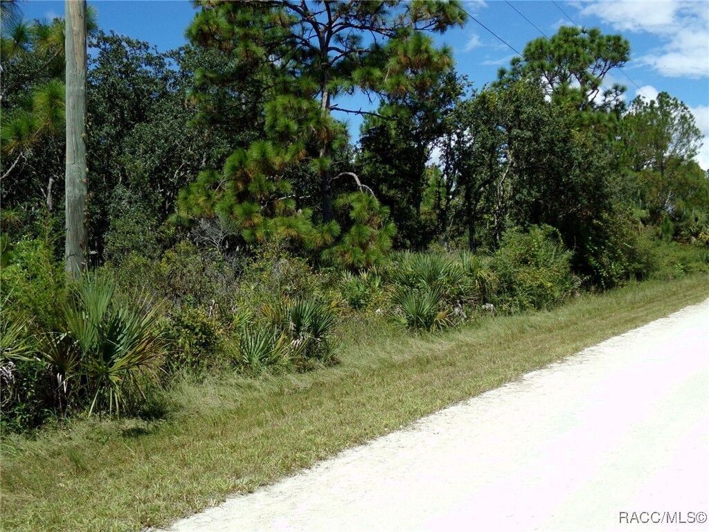 Property Photo: 18303 Ramsey Road FL 34614