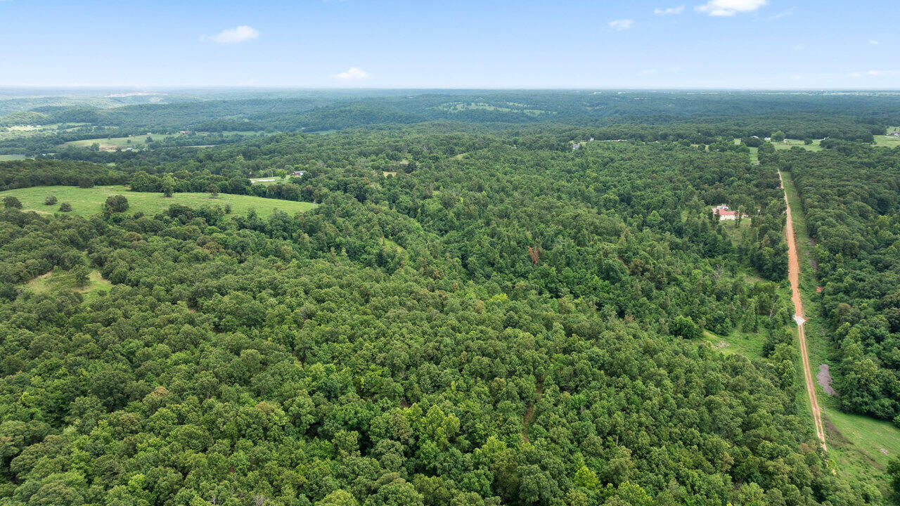 Property Photo: Tract 5 Styles Road MO 64854