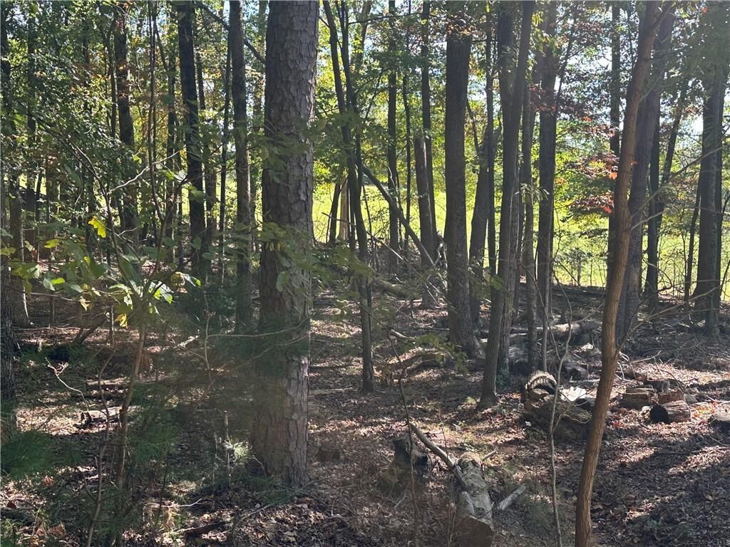 Property Photo: Lt1351 Willow Terrace GA 30143