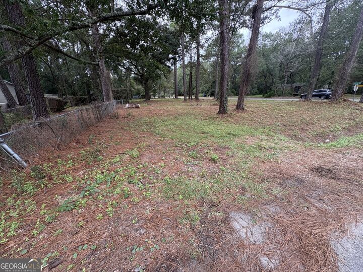 Property Photo:  102 Ritch Drive  GA 31525 