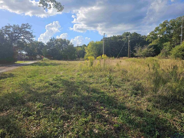 Property Photo: Tbd Fm 315 & Cr 3316 TX 75758
