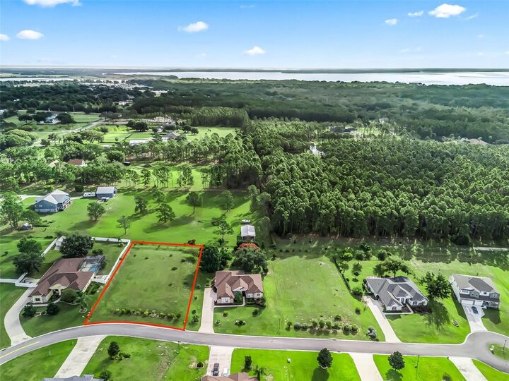 Property Photo: 31324 Sunny Meadow Court FL 34748