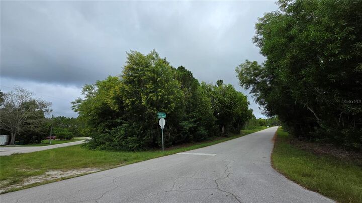 Property Photo:  12339 Cognac Drive  FL 33955 