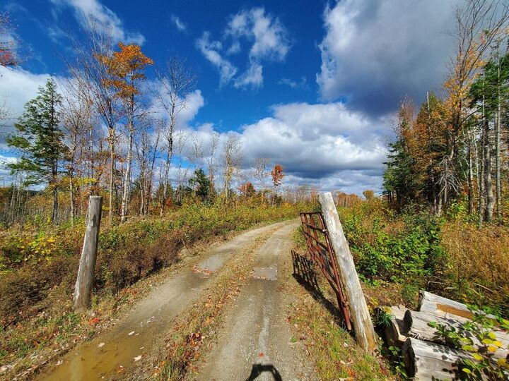 Property Photo: 91 Greenleaf Brook Road ME 04730