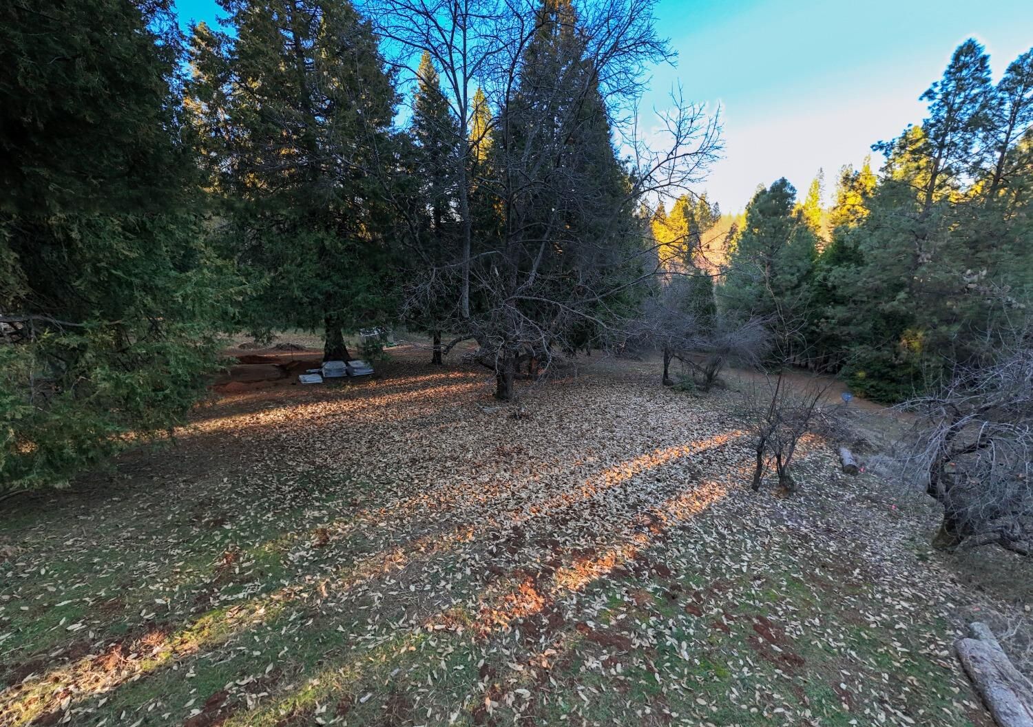 Property Photo: 202 Gold Flat Road CA 95959
