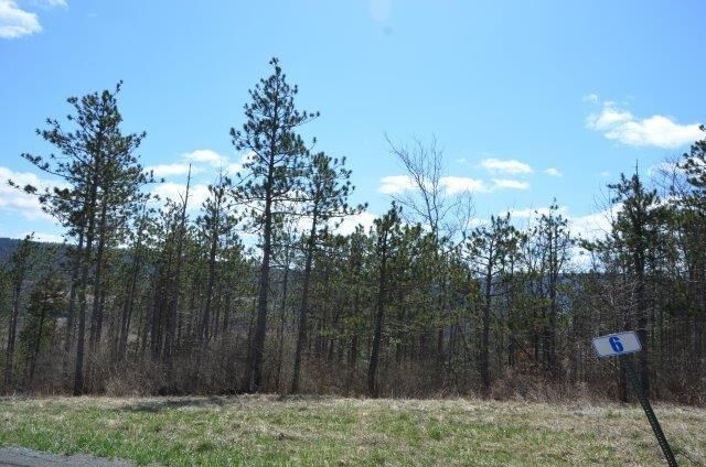 Property Photo: Lot 6A Hemlock Hills Rd PA 18848