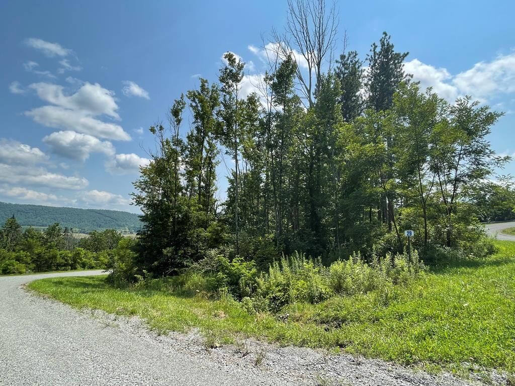 Property Photo: Lot 29A Hemlock Hills Rd PA 18848