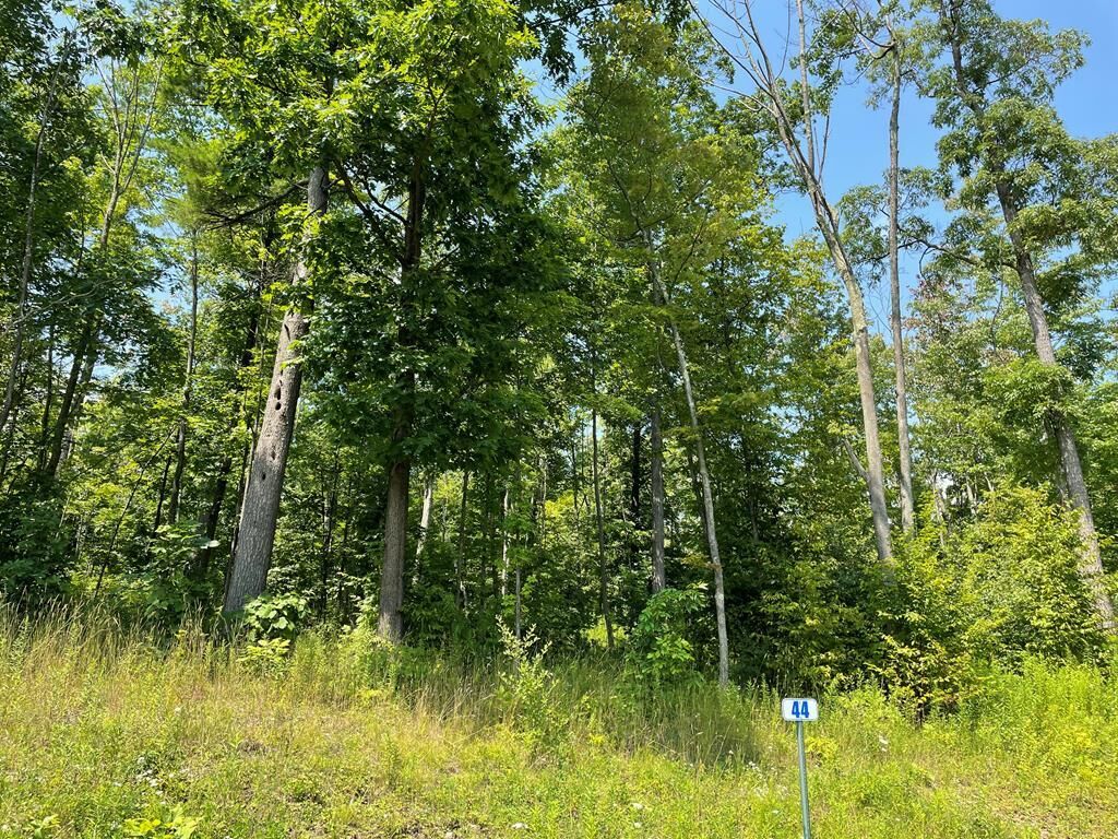 Property Photo: Lot 44A Hemlock Hills Rd PA 18848