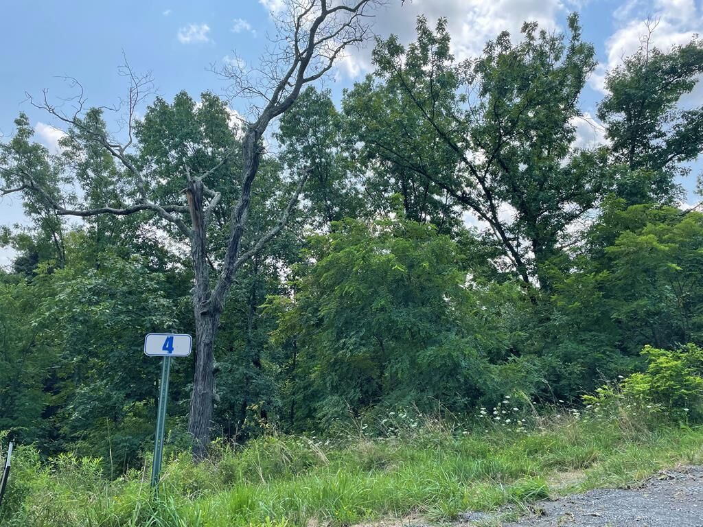 Property Photo:  Lot 4A Hemlock Hills Rd  PA 18848 