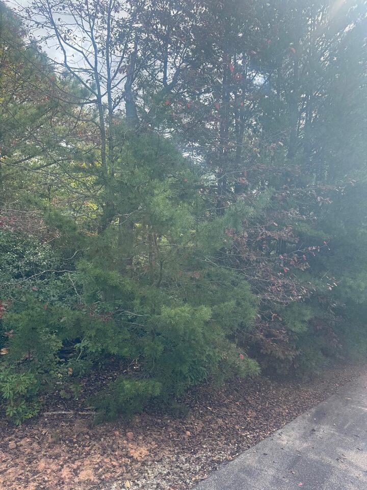 Property Photo:  Lot 16 Brown Hawk  GA 30525 