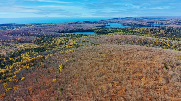 Property Photo: Xx W Deeryard Lake Rd MN 55612