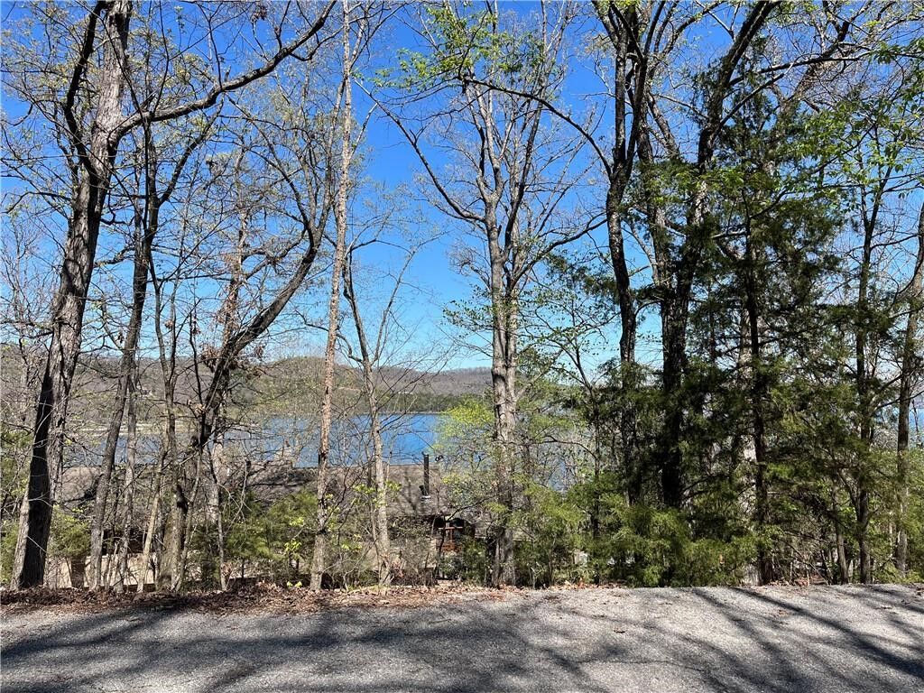 Property Photo:  Lot 12 Dogwood Drive  AR 72732 