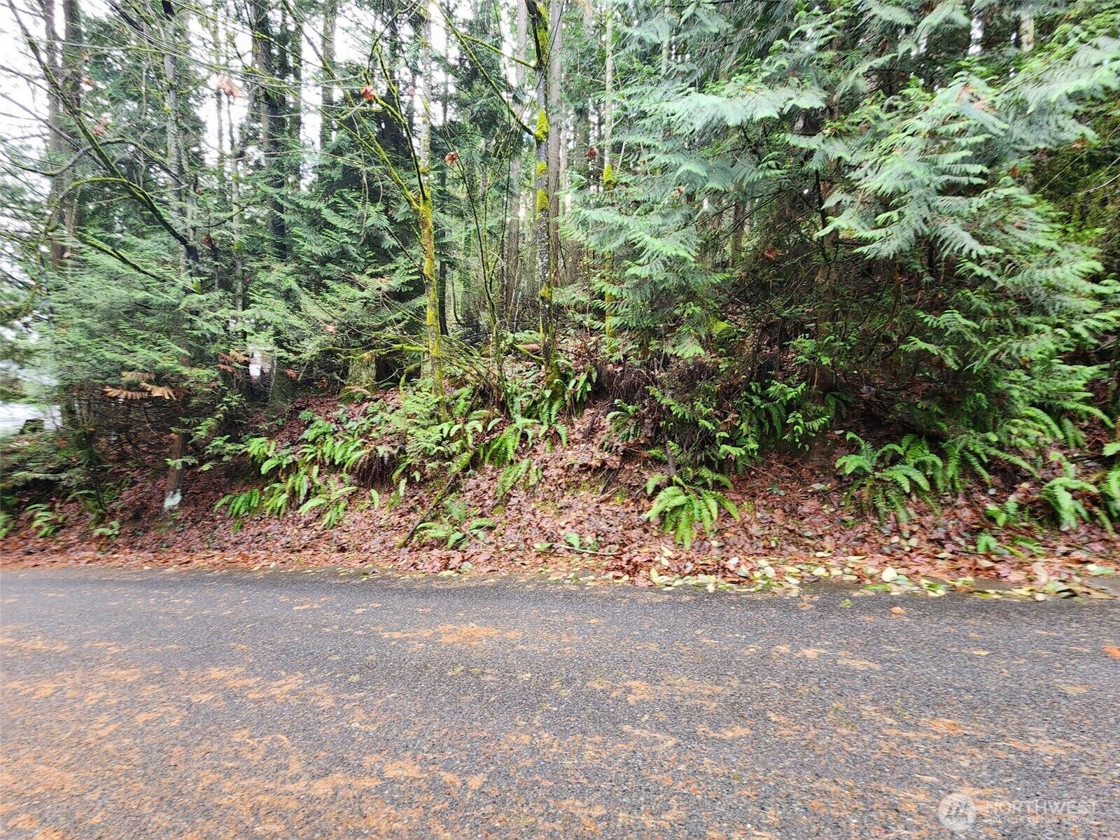 Property Photo: 545 Ellerwood St SW WA 98027