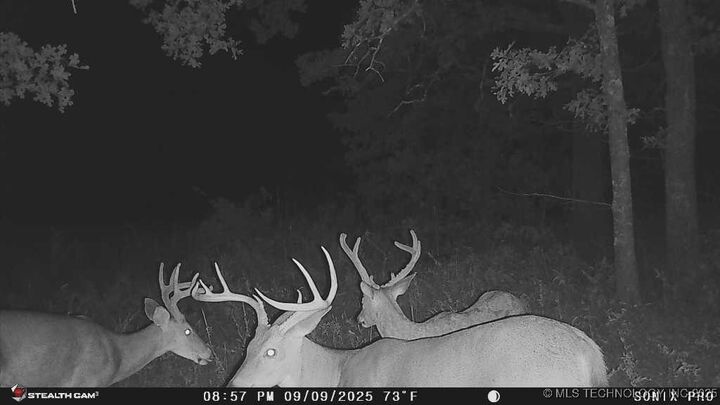 Property Photo:  158 Bowring Road  OK 74003 