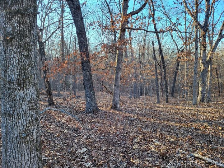 Property Photo:  Wenzel Place 216,217,218,&Amp219  MO 65326