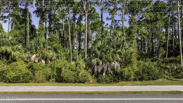 Property Photo: Tbd Cape San Blas Rd FL 32456