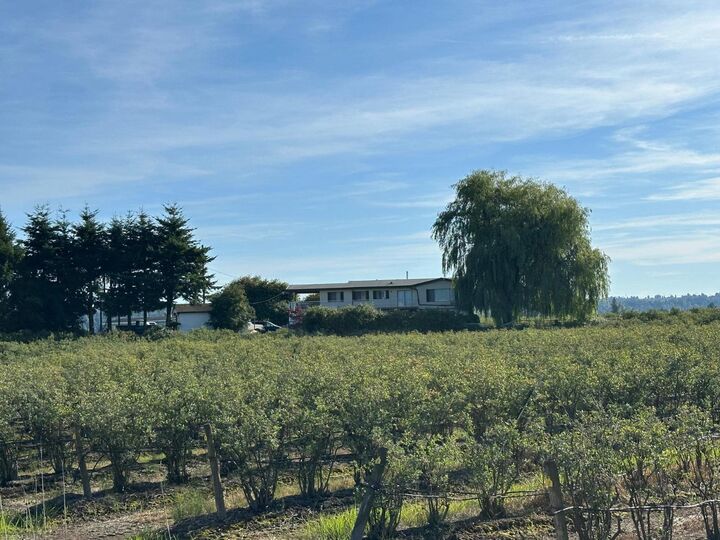 Property Photo:  32702 Harris  BC V4X 1W1 