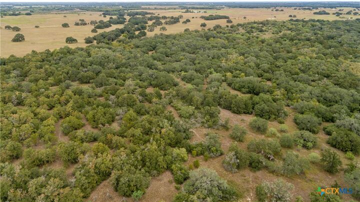 Property Photo: 1078 Mueller Lang Road TX 77954