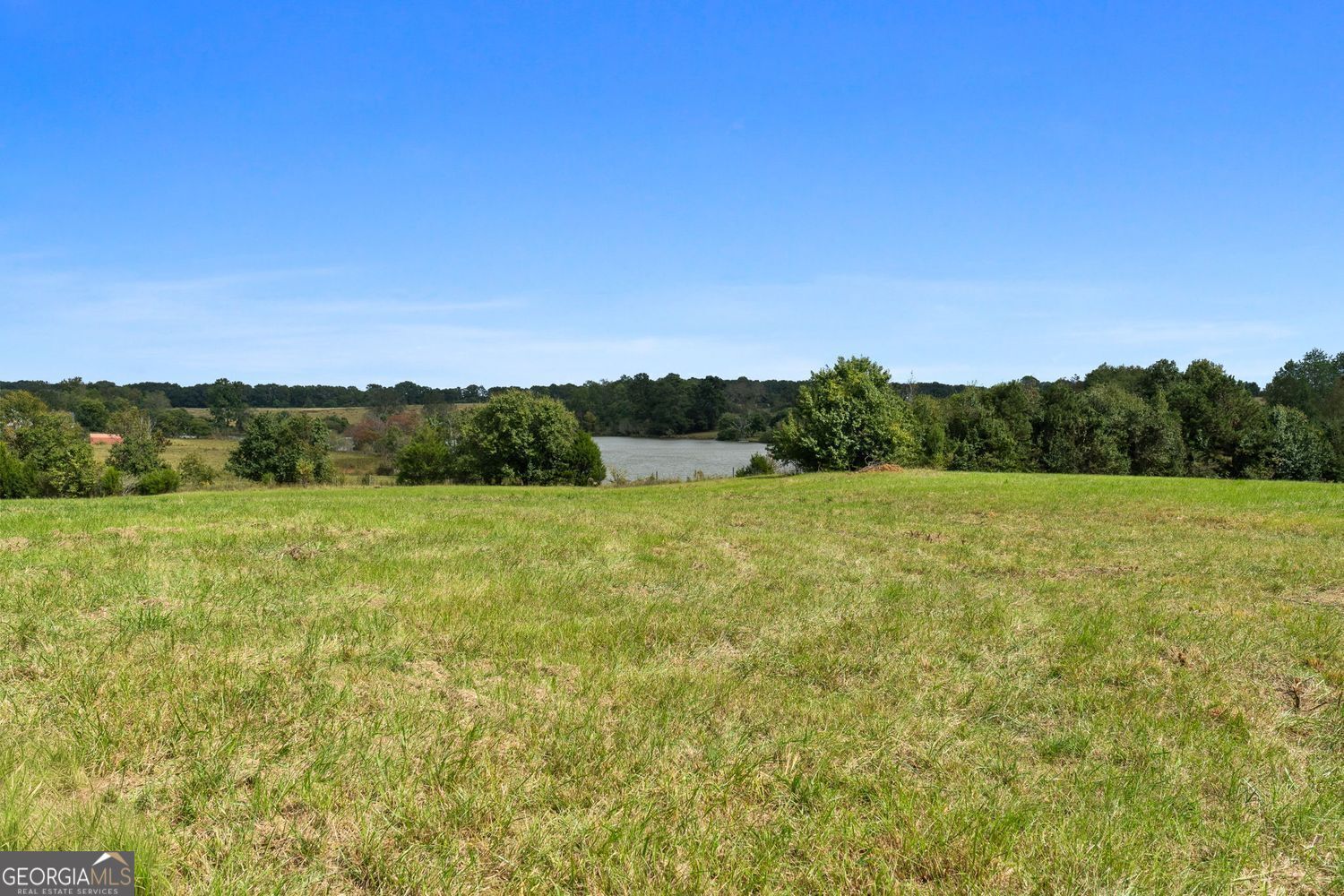 Property Photo:  61 Acres 61 Acres Barnesville Highway  GA 30285 