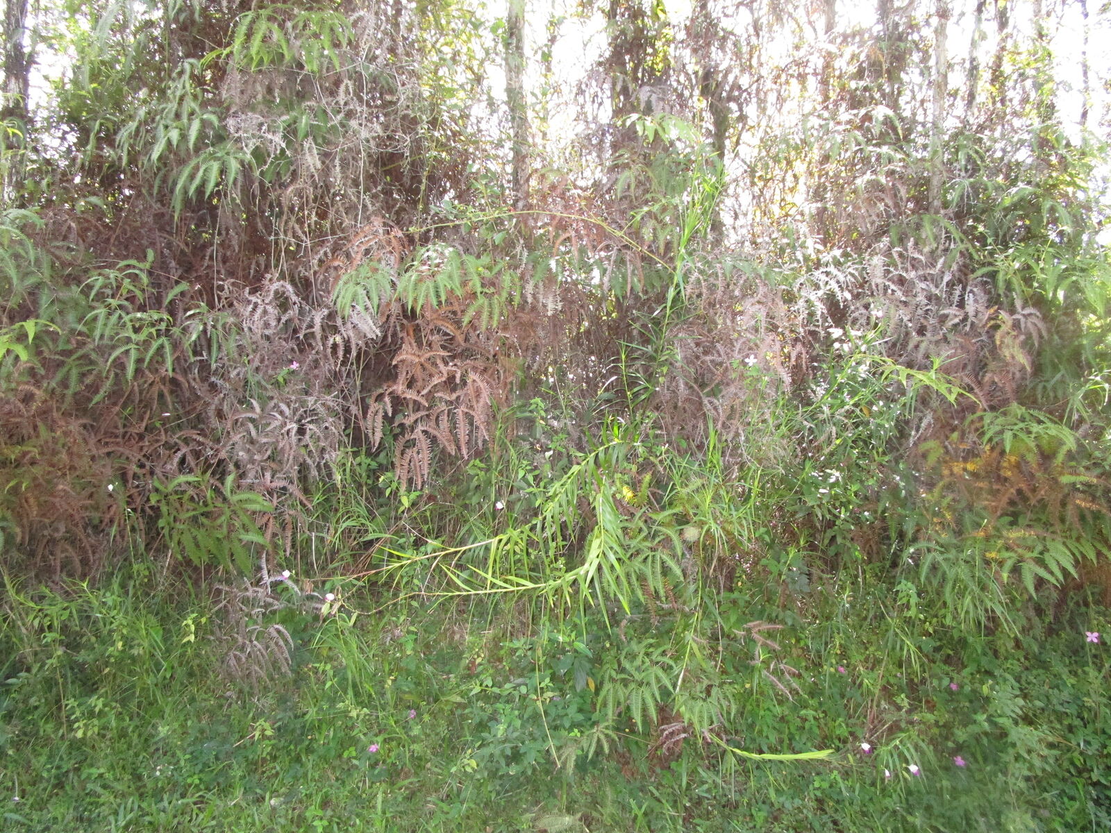 Property Photo:  Kahoolawe Rd  HI 96778 