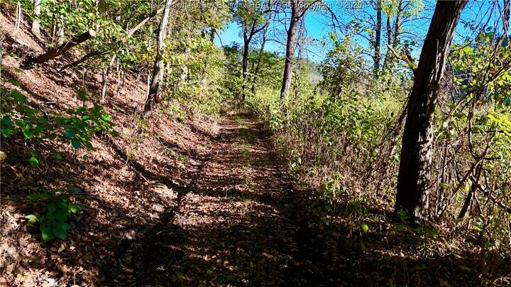 Property Photo: 0 Harmons Creek Road WV 25159
