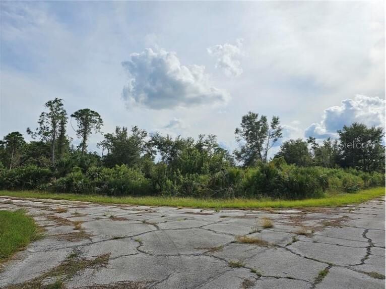 Property Photo: Lot 1 Hinshaw Avenue FL 34288