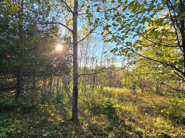 Property Photo: Tbd Dextrom Road MI 49913