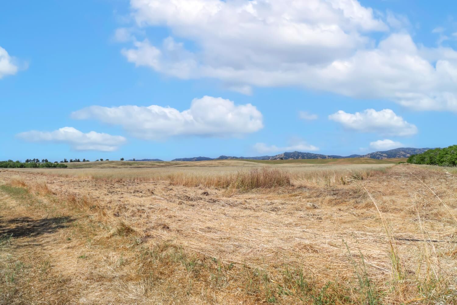 Property Photo: 20740 County Road 87 CA 95694