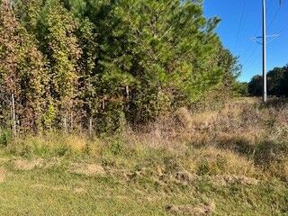 Property Photo:  0 Seminole Ln  TN 37355