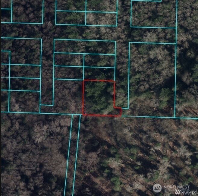 Property Photo: 0 Pine Street WA 98229