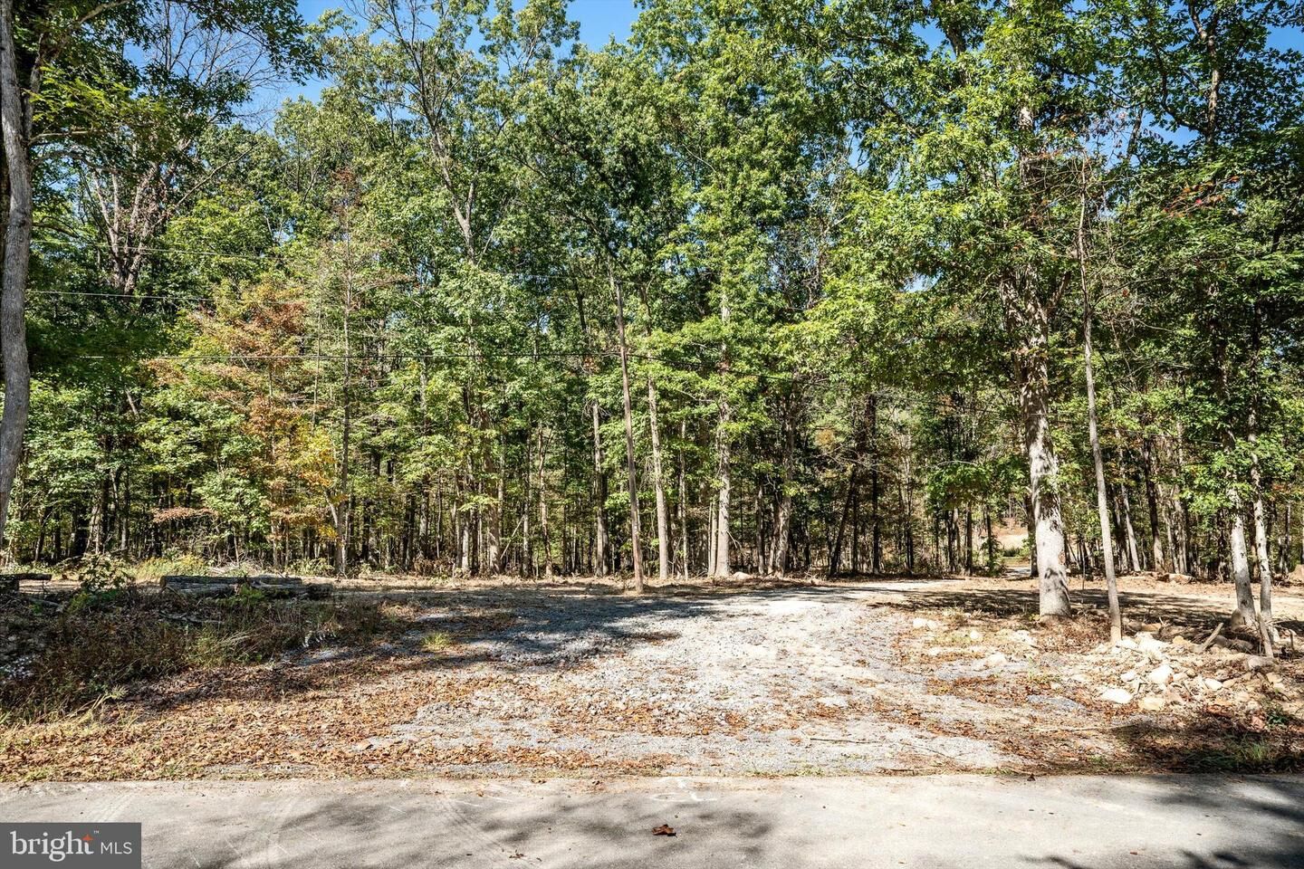 Property Photo:  Lot 1 Back Creek Rd  VA 22637 