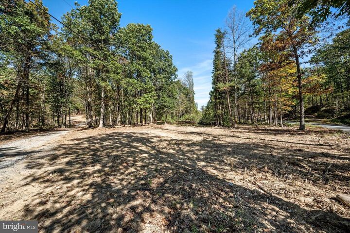 Lot 4 Back Creek Rd  Gore VA 22637 photo