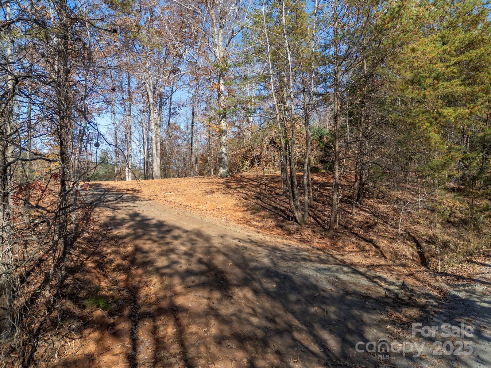 Property Photo: 145 Stroud Mountain Trail 85 NC 28139
