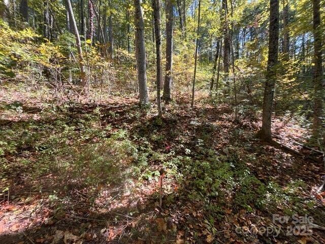 Property Photo:  99999 Moody Cove Road  NC 28787 