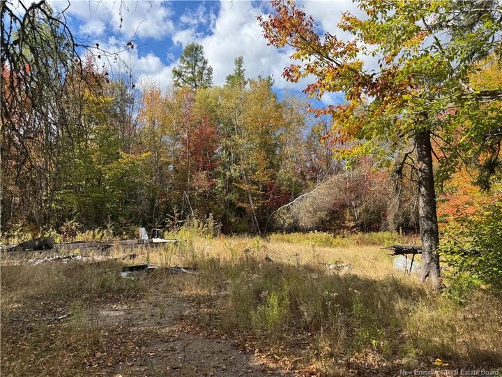Photo de la propriété: 60 Bettsburg Road NB E9C 2C2
