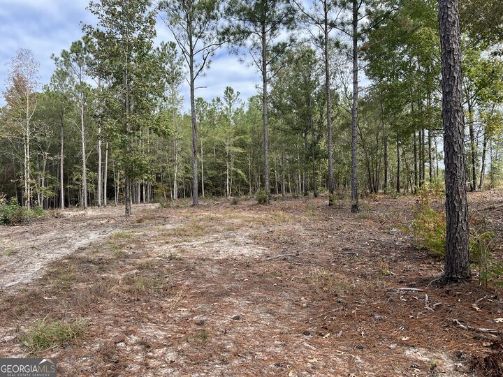Property Photo:  3479 Bastonville Road  GA 30810