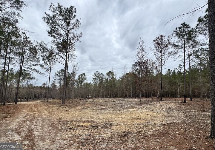 Property Photo: 3479 Bastonville Road GA 30810