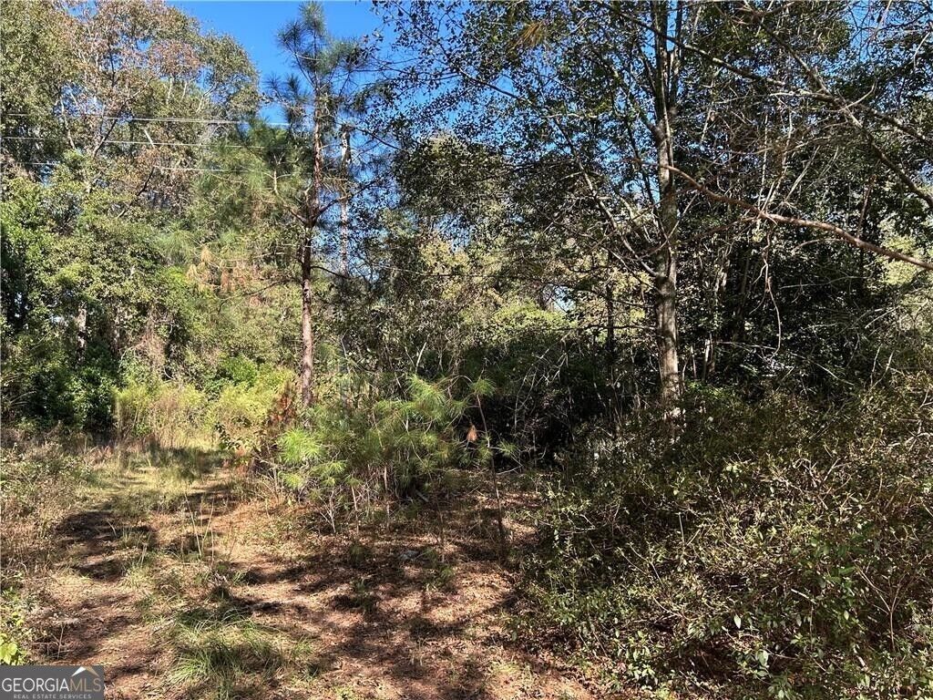 Property Photo:  2581 Old Riggs Mill Road  GA 30458