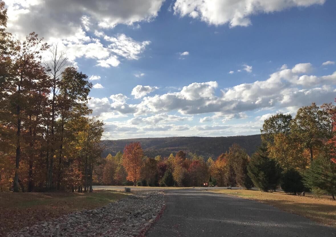 Property Photo:  0 Chestnut Oak Drive  TN 37327 