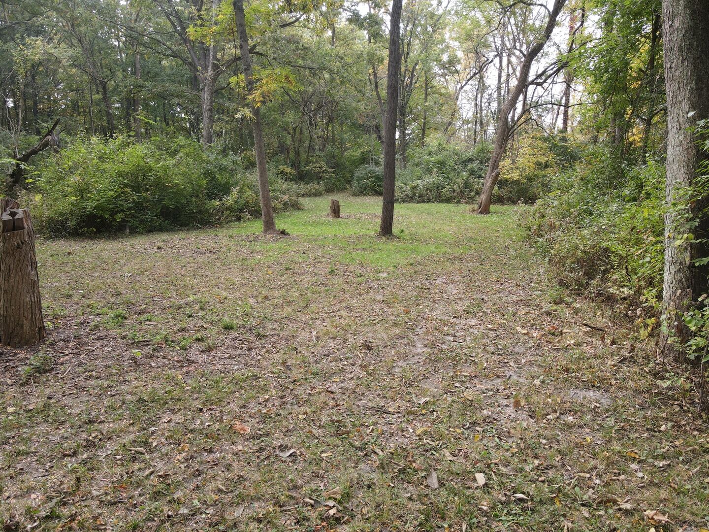 Property Photo:  5180 W Cantrell Street  IL 62522