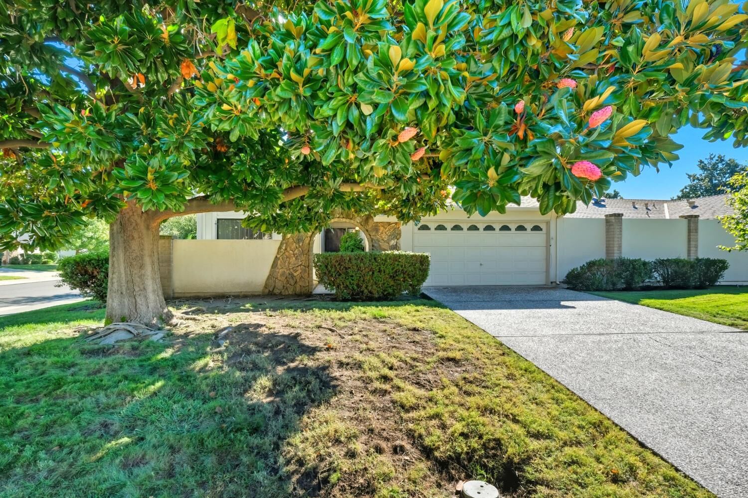 Property Photo: 80 Petrilli Circle CA 95822