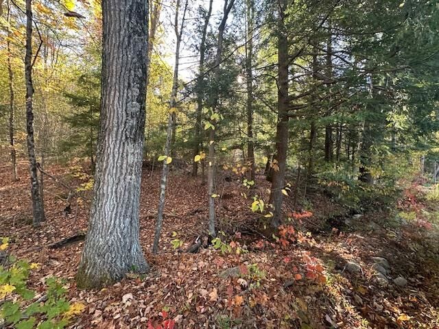 Property Photo:  0 Old Walpole Road  NH 03431 