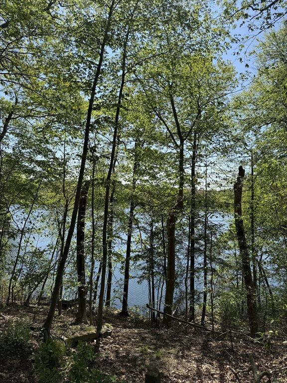 108 Dudley Rd  Wayland MA 01778 photo